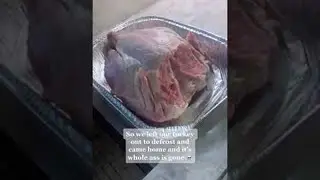 Dog Helps Itself to Thanksgiving Turkey || ViralHog