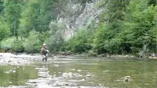 River Kupa fly fishing.MTS