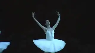 ニキヤとソロルのアダージョ「ラ・バヤデール」ロパートキナ＆エルマコフ、Nikiya, Solor　Adagio”La Bayadere”U.Lopatkina & A.Ermakov  39