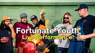 The Pier Presents : Fortunate Youth 2013 Live Performance
