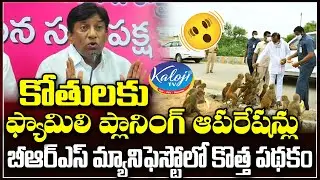 కోతులకు ఫ్యామిలి ప్లానింగ్ ఆపరేషన్లు, | Monkey Family Planning Scheme in BRS Manifesto | Kaloji TV