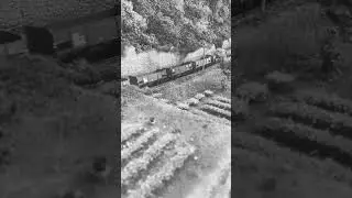 Gr 460 Trix con carri trasporto carbone