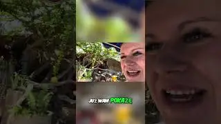 Odkrywam Dziwne Drzewo z Gigantycznymi Owocami i Dzikie Banany! 🍌🌳