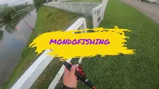 Zebco Slingshot Action