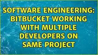 Software Engineering: BitBucket working with multiple developers on same project (3 Solutions!!)