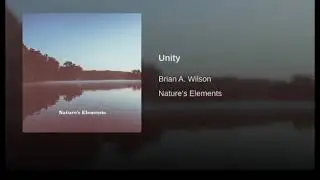 Brian A. Wilson - Unity (Audio)