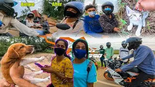 CUTE PUPPY SAVED BY BIKER | Giving RC 390 To Random People Part 2 |  Picking Up Stray Kittens