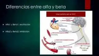 Xilacina, Erma - Dr.  Marco Leal Garcia