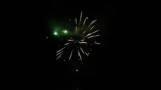 CL048 ЯГУАР 1 2 х19