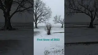 First Snow of 2022 #shorts #snow #arkansas