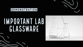 Important Lab Glassware