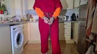 NEW! high security prisoner transport restraints