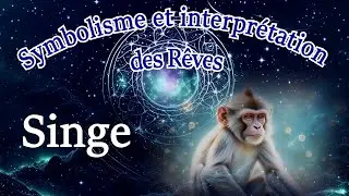 Symbolisme, et interpr&eacute;tation de r&ecirc;ve de singe.