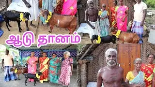 😭வருமானம் இன்றி தவிக்கும் தாத்தா பாட்டிக்கு   வாழ்வாதாரத்திற்கு ஆடுகள் வழங்கப்பட்டது😄