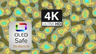 Polished Physarum Screensaver - 4K Ultra HD - No Music