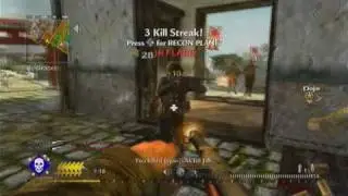 Call of Duty: World At War Montage