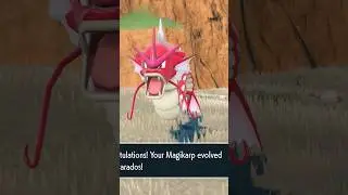 🌟Shiny Magikarp Evolved Into Shiny Gyarados! 🌟 Pok&eacute;mon Violet Shiny Walkthrough