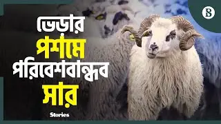 বর্জ্য সমস্যার সমাধানে ভেড়ার পশম দিয়ে সার | Eco-Friendly Sheep Wool Fertilizer