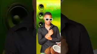 Young Tops__Normark Bee___Still together_(official Audio)