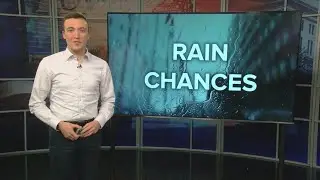 What does a 20% chance of rain mean, and how is it calculated?