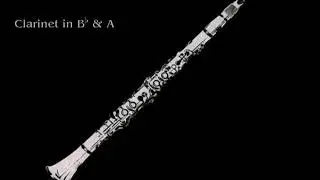 23 Clarinets - Clarinet Choir - Kalinnikov, Symphony no. 1, mov. 1