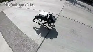 Fast and Efficient Locomotion via Learned Gait Transitions
