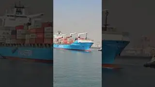Maersk ⚓ Best Shipping Company In World 🌎 #youtubeshorts #shortvideo #shorts