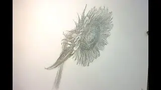デッサン講座ひまわりを描く