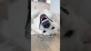 Я жив, я мертв, я смотрю телевизор.