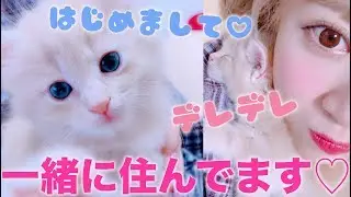 【報告】さぁや、子猫を飼いました！〜初めましてアルです♡〜