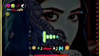 Na mram la baltona sta se za lila | Wazir pardes | pashto song 2024 | trending song on tiktok |