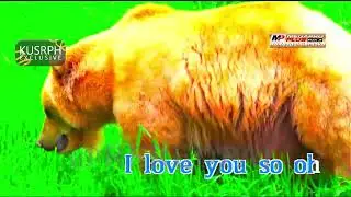 Yellow - Coldplay || Megapro plus midi karaoke 