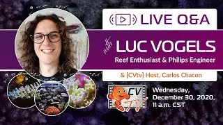 Live Q&A with Luc Vogels, Reef Enthusiast and Philips Engineer
