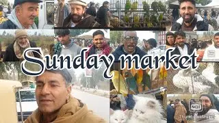 Sunday market Hazro Itwar mandi Birds Market, Cheap Fruit  Landa Bzar goats pigeons rabbits Pakistan