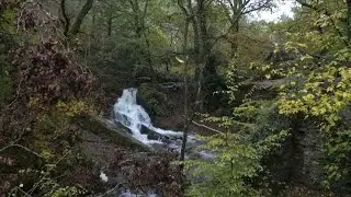 Brocéliande, el bosque encantado de la región francesa de Bretaña