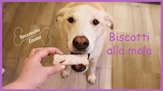 Biscotti alla mela per cani