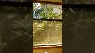 The Garbage Chute Noise