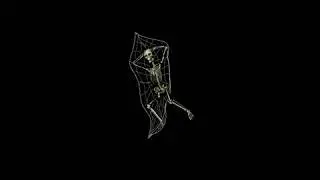 Spooky Scary Skeleton (slowed reverb)