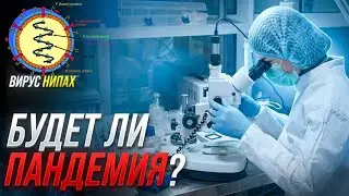 WILL THERE BE A NEXT PANDEMIC? | TAROT DIAGNOSTICS
