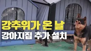 강아지 추가 설치후 구독자님이랑 태종대 한바퀴 돌았습니다