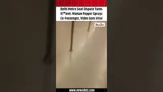 Delhi Metro Seat Dispute Turns Violent: Woman Pepper Sprays Co-Passenger, Video Goes Viral