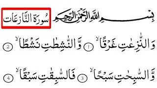 Quran Tilawat: Learn Quran, Expert Recitations, Quran Reading & Quran Learning Tutorials