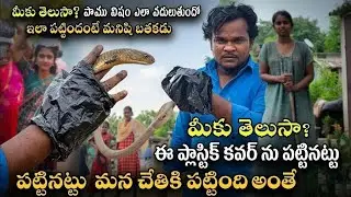 Indian spectacled venomous  cobra snake bigsize rescue gonegandla BC Colony lo {9966333589 WhatsApp