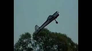 woodspring wings model air show July 2013