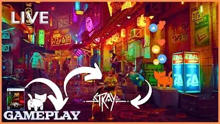 🎮STRAY UMA JORNADA ÉPICA REALIZADA POR UM GATINHO EM UM MUNDO DEVASTADO PARTE 01/ 2025🎮