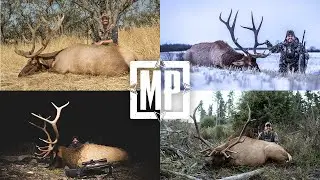 The Elk Rifle Slam | Mark V. Peterson Hunting