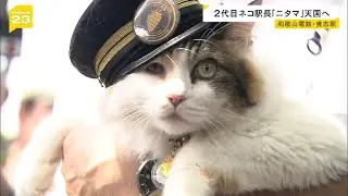 ２代目ネコ駅長「ニタマ」が死ぬ　和歌山電鉄のＰＲに貢献　社長代理の職にも就く（2025年11月22日）