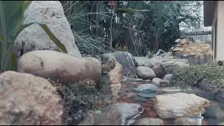 Man-made natural pond with little stream.