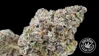 Med/Rec Strain review for The Menage from Good Chemistry in Worcester, MA