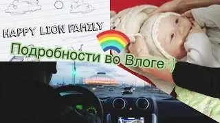 Куда это МЫ?:-)/Happy Lion Family=^.^=